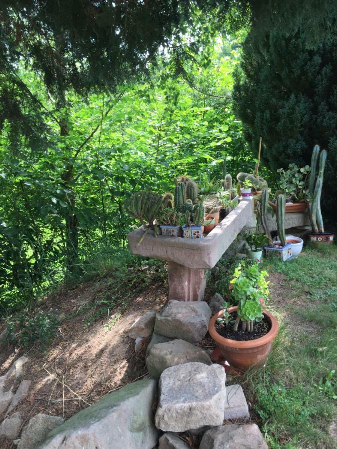 לפוטרואה Gite Le Vieux Ruisseau Sauna Et Massages מראה חיצוני תמונה